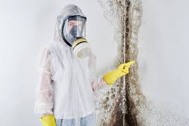 Best Mold Removal for HVAC Installations  in Grant Park, IL